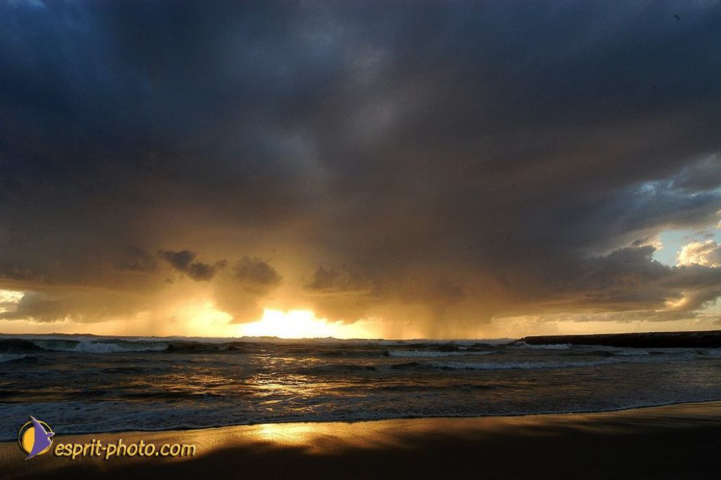 Nom de l'image : EP08-0342_(c)Norbert-JUNG — Description :